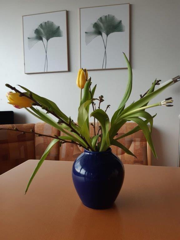 Ferienzentrum Bodensee Oberteuringen Zewnętrze zdjęcie